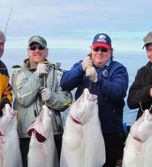 Halibut caught on Homer Alaska fishing charters.